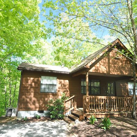 Adalynn'S Mountain Retreat-Hot Tub, 1089 Of Free Tickets For Each Paid Day, Dollywood And More! Pigeon Forge Luaran gambar